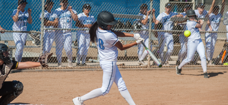 Softball (2).png