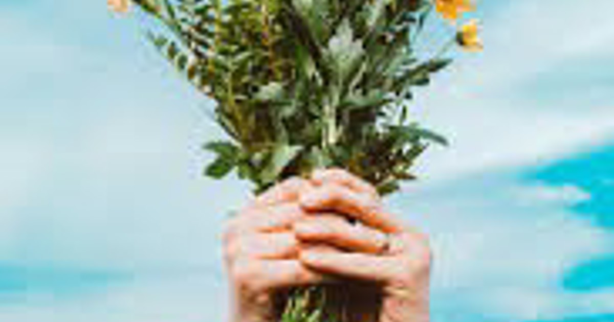 Spring Stock Photo (1)